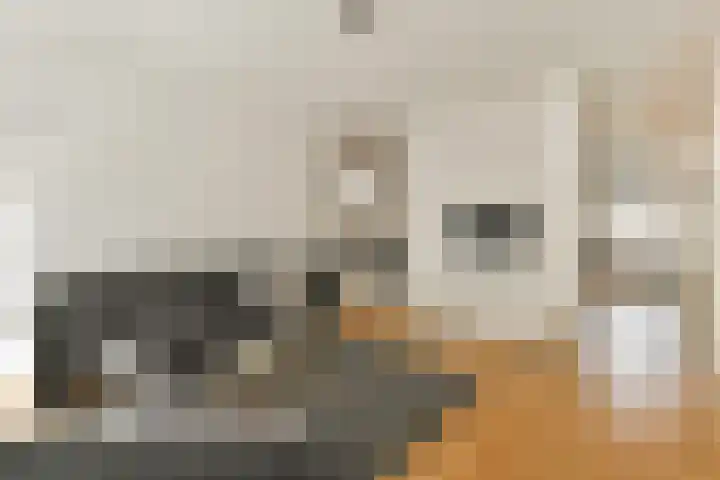 Bos en Lommerweg 21 2 Amsterdam thumbnail 9