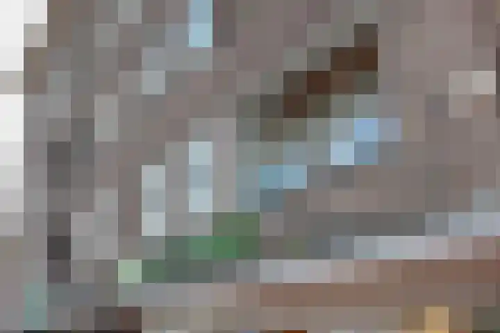 Bos en Lommerweg 223 1 Amsterdam thumbnail 18