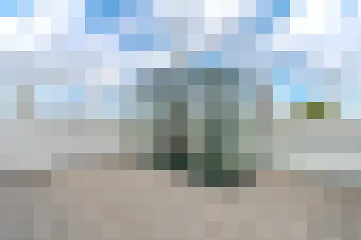 Bos en Lommerweg 246 B Amsterdam thumbnail 26