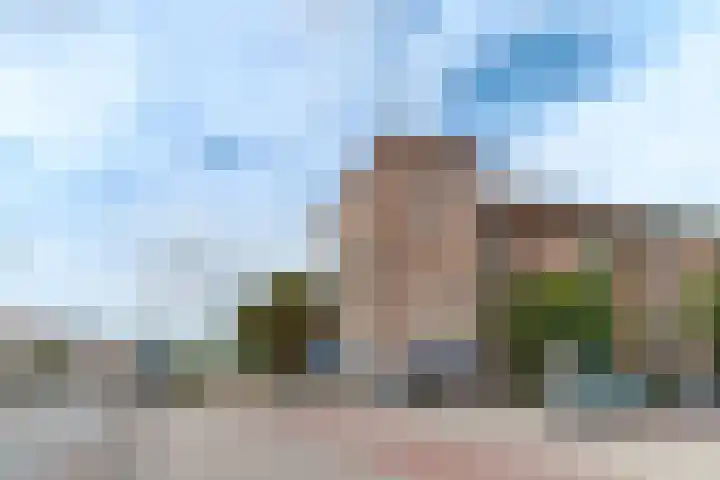 Bos en Lommerweg 246 B Amsterdam thumbnail 5