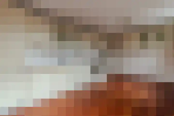 Bos en Lommerweg 246 B Amsterdam thumbnail 8