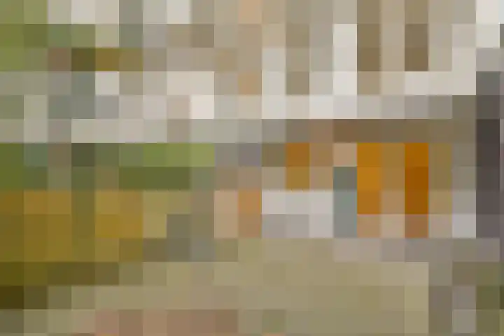 Bos en Lommerweg 27 H Amsterdam thumbnail 18