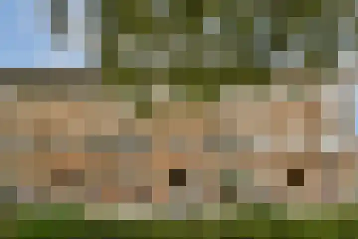 Bos en Lommerweg 27 H Amsterdam thumbnail 19