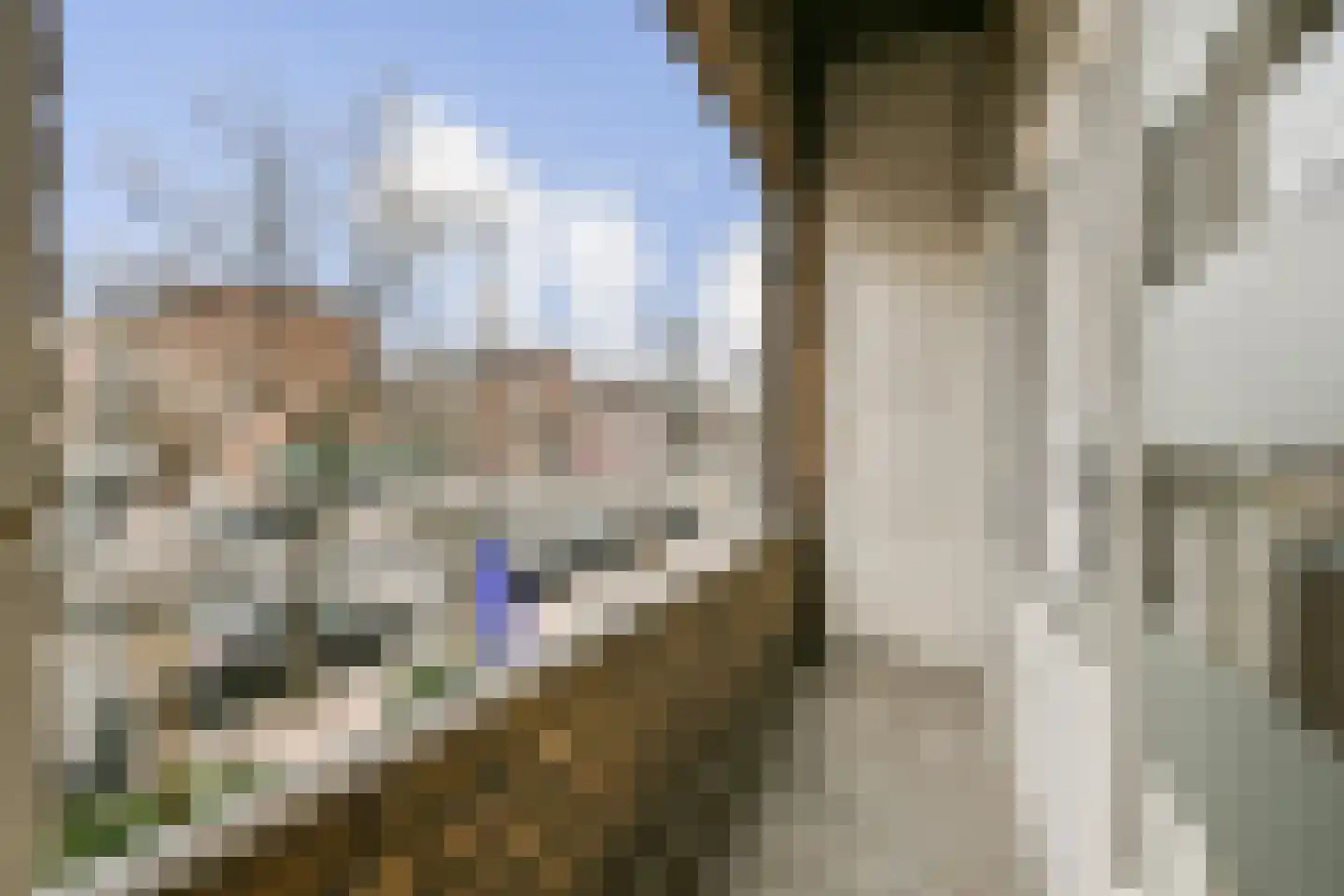 Bos en Lommerweg 281 2 Amsterdam thumbnail 16