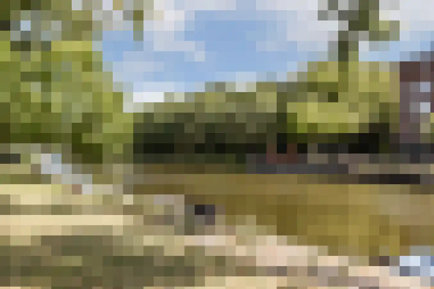 Bos en Lommerweg 281 2 Amsterdam thumbnail 20