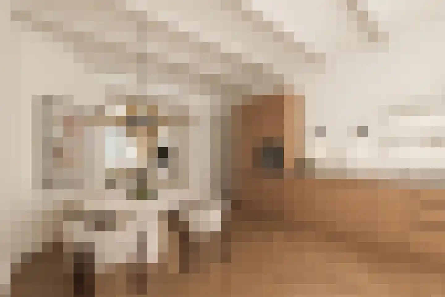 Bos en Lommerweg 281 2 Amsterdam thumbnail 4