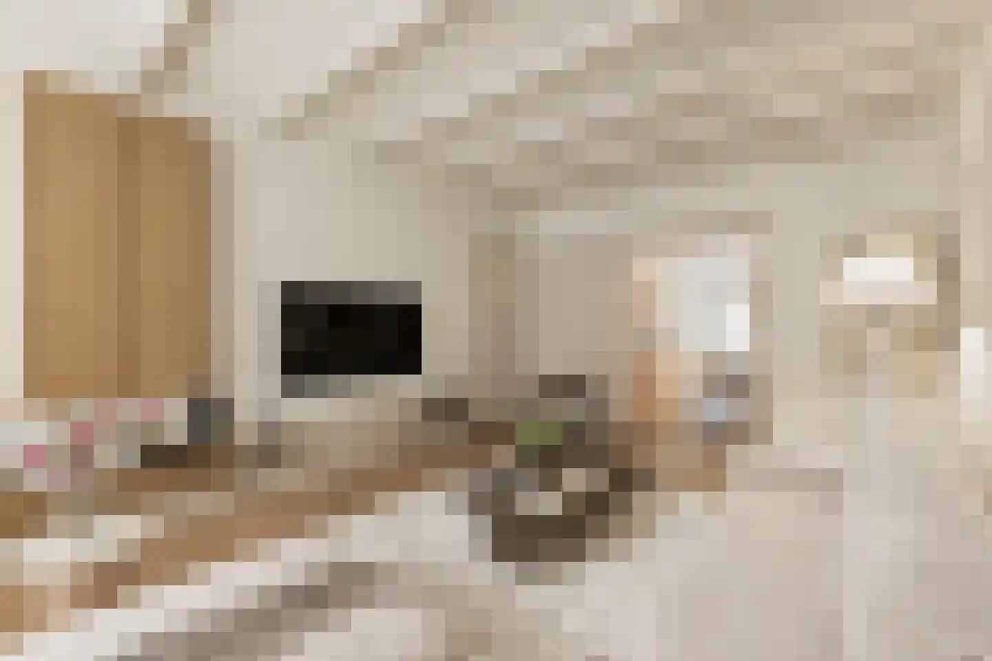 Bos en Lommerweg 281 2 Amsterdam thumbnail 6