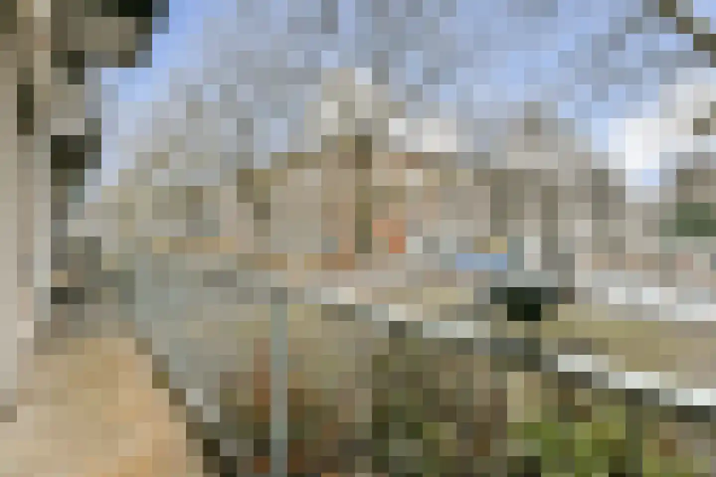 Bos en Lommerweg 281 2 Amsterdam thumbnail 8