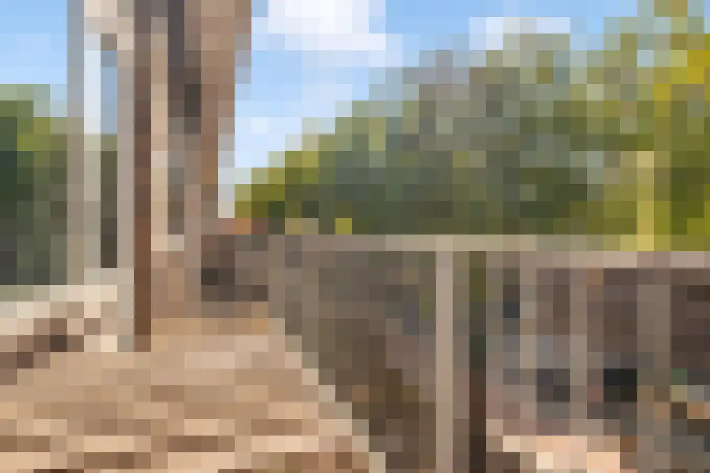 Bos en Lommerweg 281 3 Amsterdam thumbnail 27
