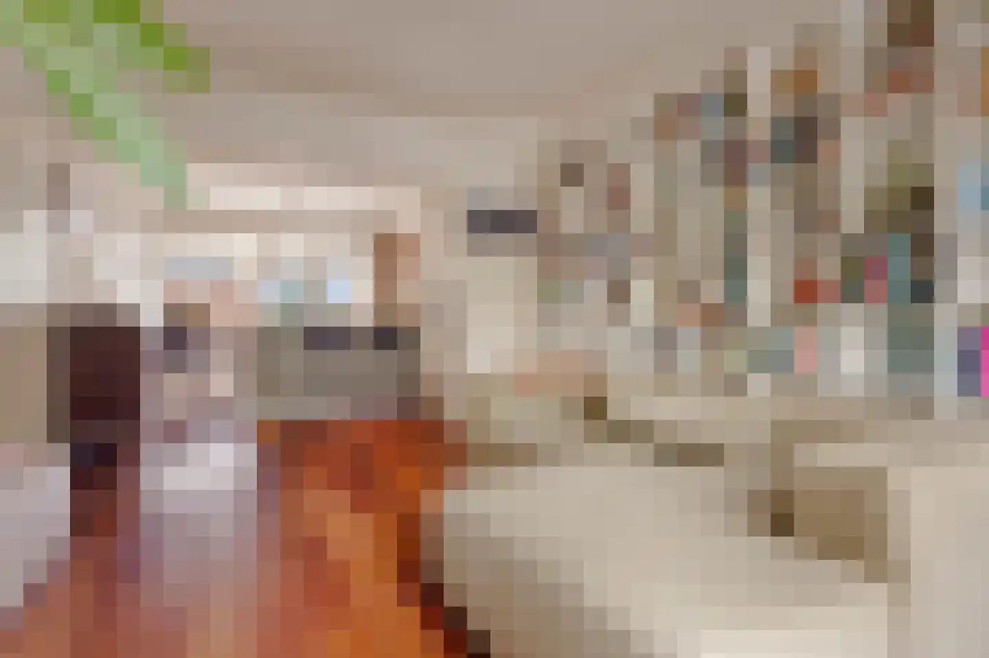 Bos en Lommerweg 281 3 Amsterdam thumbnail 4