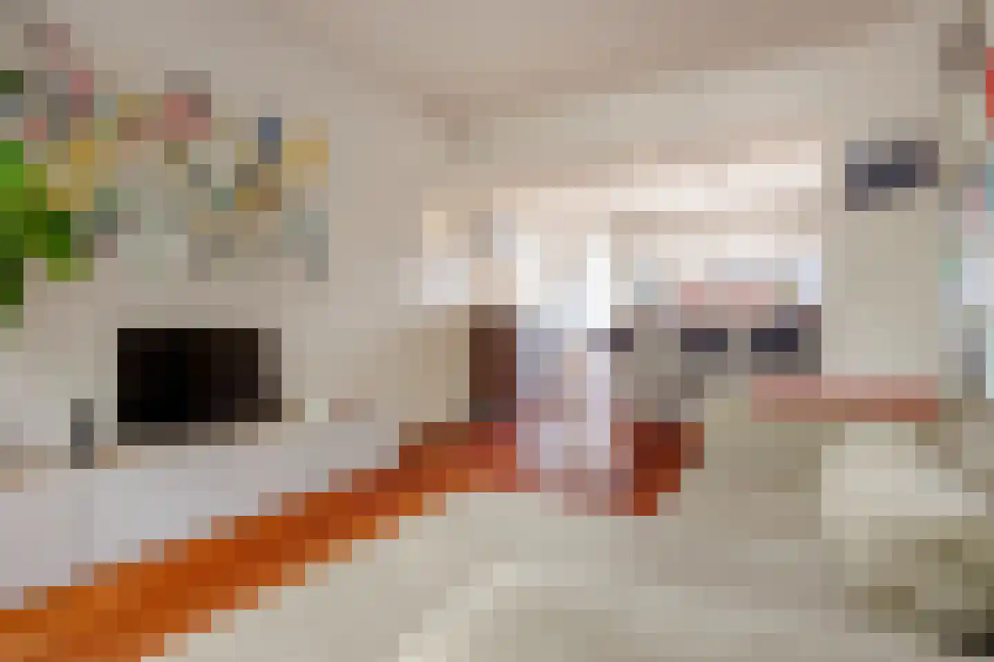 Bos en Lommerweg 281 3 Amsterdam thumbnail 6