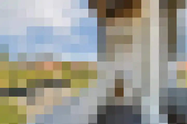 Bos en Lommerweg 283 3 Amsterdam thumbnail 13