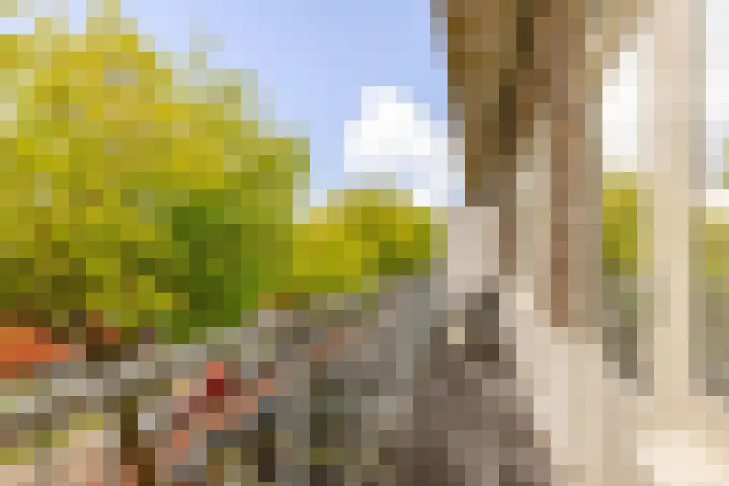 Bos en Lommerweg 283 3 Amsterdam thumbnail 23
