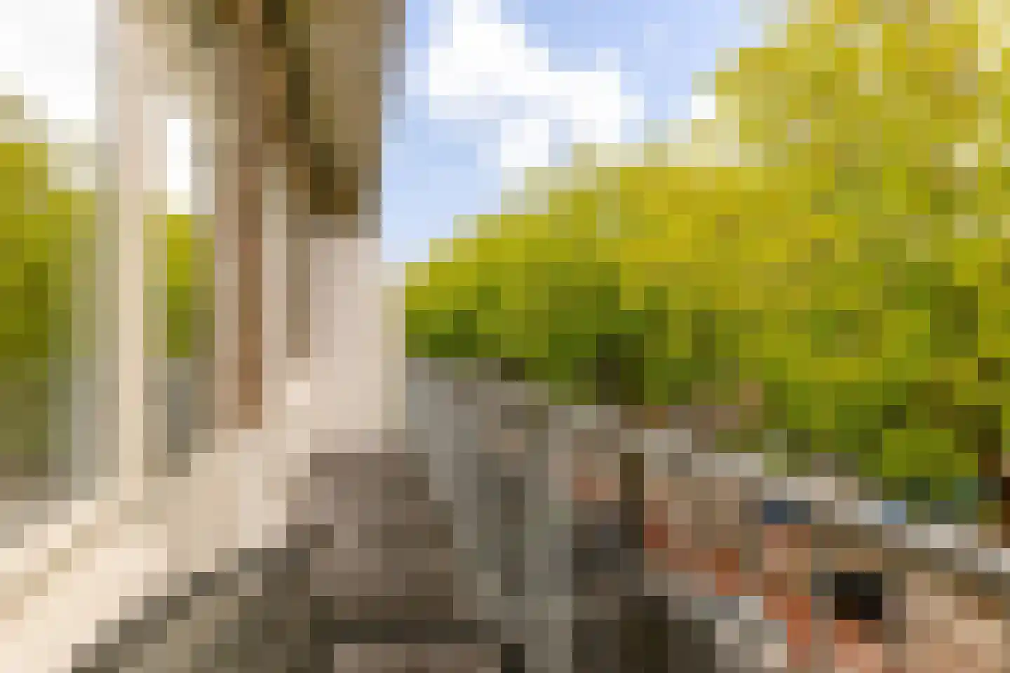 Bos en Lommerweg 283 3 Amsterdam thumbnail 24
