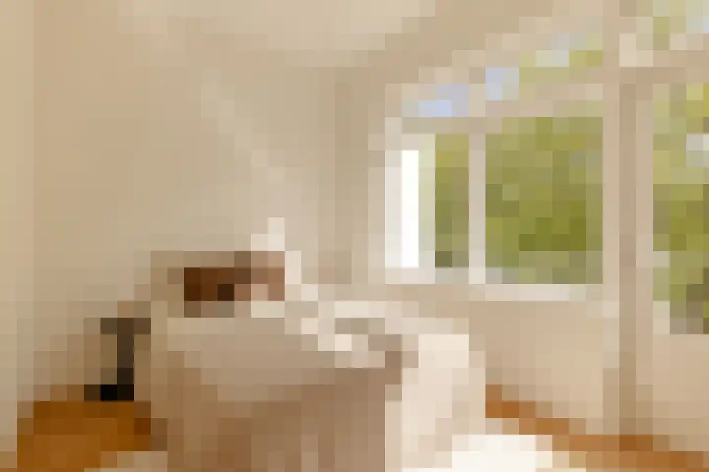 Bos en Lommerweg 283 3 Amsterdam thumbnail 28