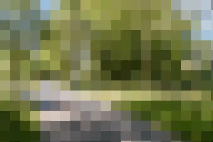 Bos en Lommerweg 283 3 Amsterdam thumbnail 28
