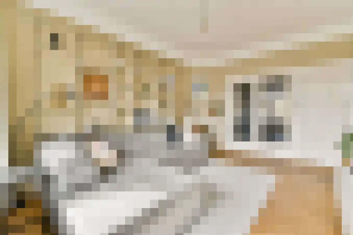 Bos en Lommerweg 283 3 Amsterdam thumbnail 4