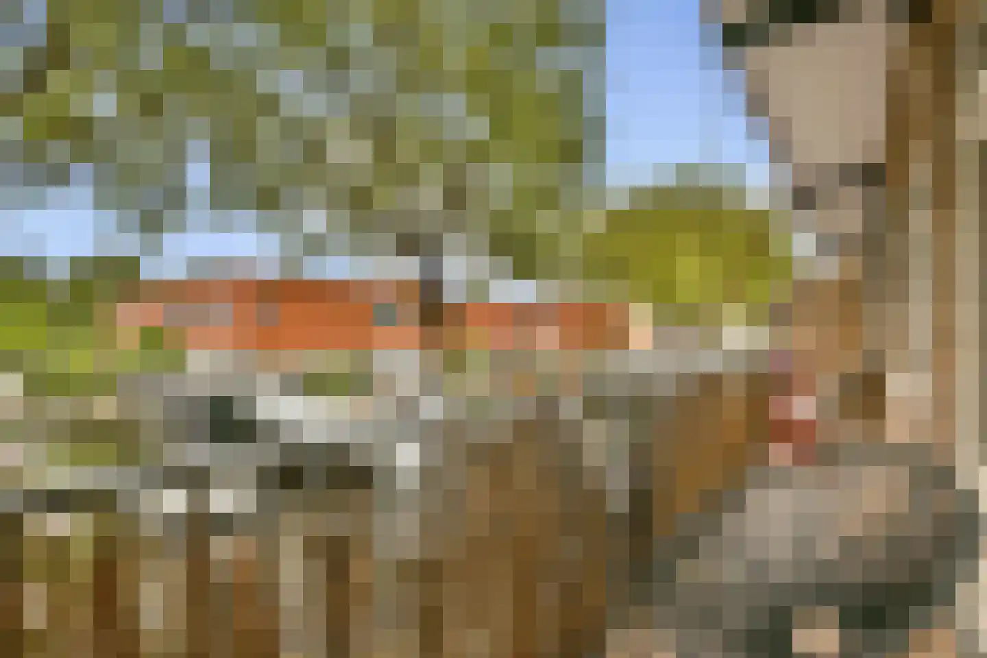 Bos en Lommerweg 283 3 Amsterdam thumbnail 7