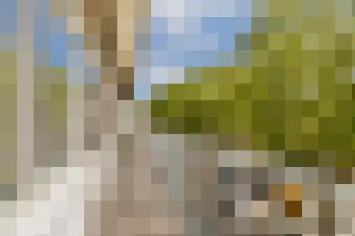 Bos en Lommerweg 283 3 Amsterdam thumbnail 9
