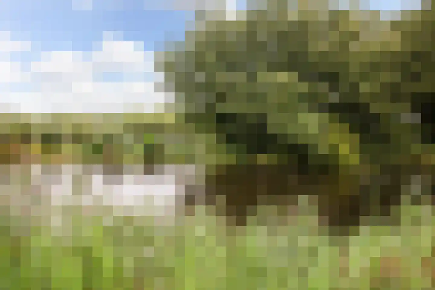 Bos en Lommerweg 3 1 Amsterdam thumbnail 30