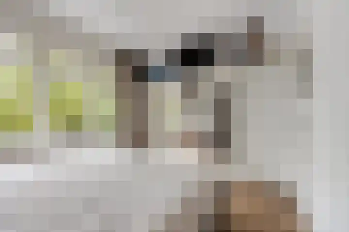 Bos en Lommerweg 323 4 Amsterdam thumbnail 16