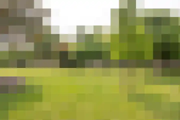 Bos en Lommerweg 323 4 Amsterdam thumbnail 18