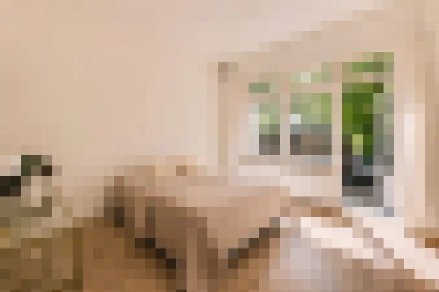 Bos en Lommerweg 331 1 Amsterdam thumbnail 17
