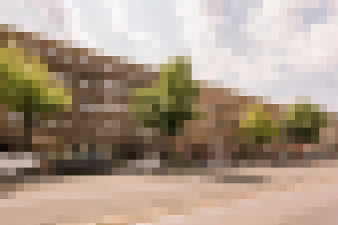 Bos en Lommerweg 331 1 Amsterdam thumbnail 4