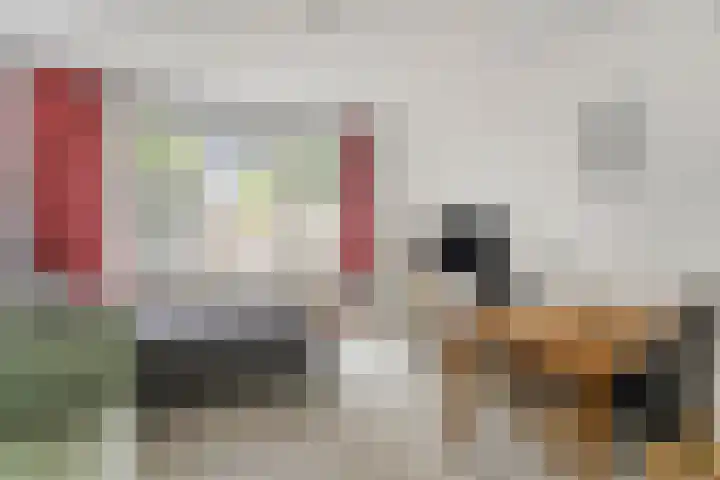 Bos en Lommerweg 335 3 Amsterdam thumbnail 17