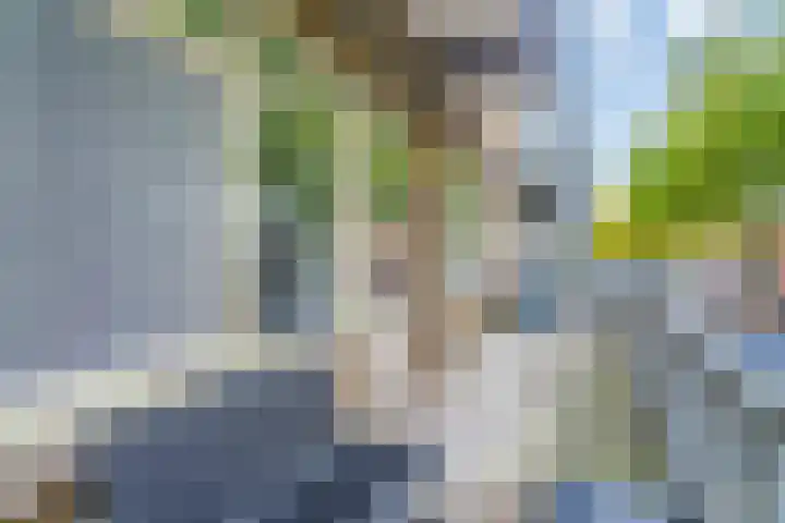 Bos en Lommerweg 335 3 Amsterdam thumbnail 24