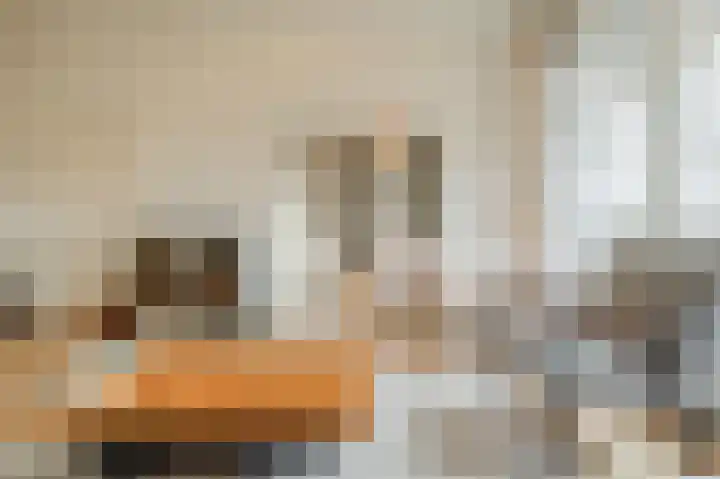 Bos en Lommerweg 337 3 Amsterdam thumbnail 14