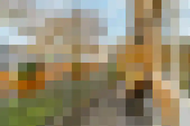 Bos en Lommerweg 337 3 Amsterdam thumbnail 46