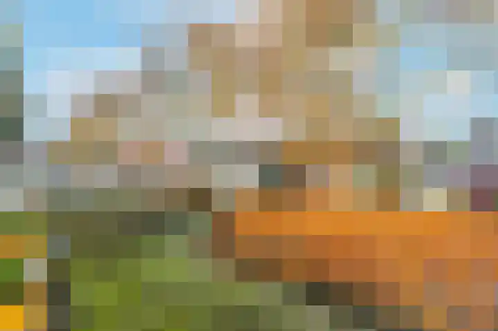 Bos en Lommerweg 337 3 Amsterdam thumbnail 47