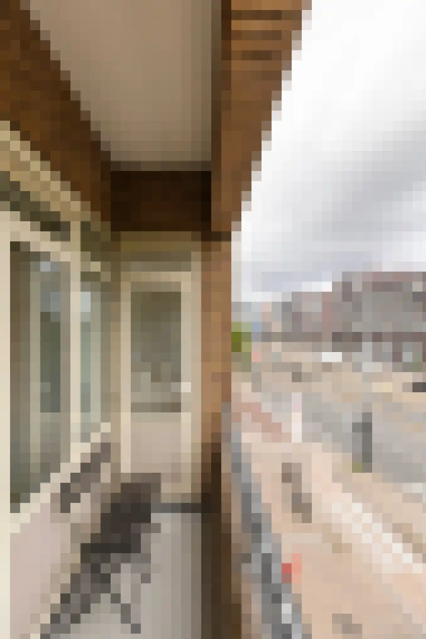 Bos en Lommerweg 343 2 Amsterdam thumbnail 17