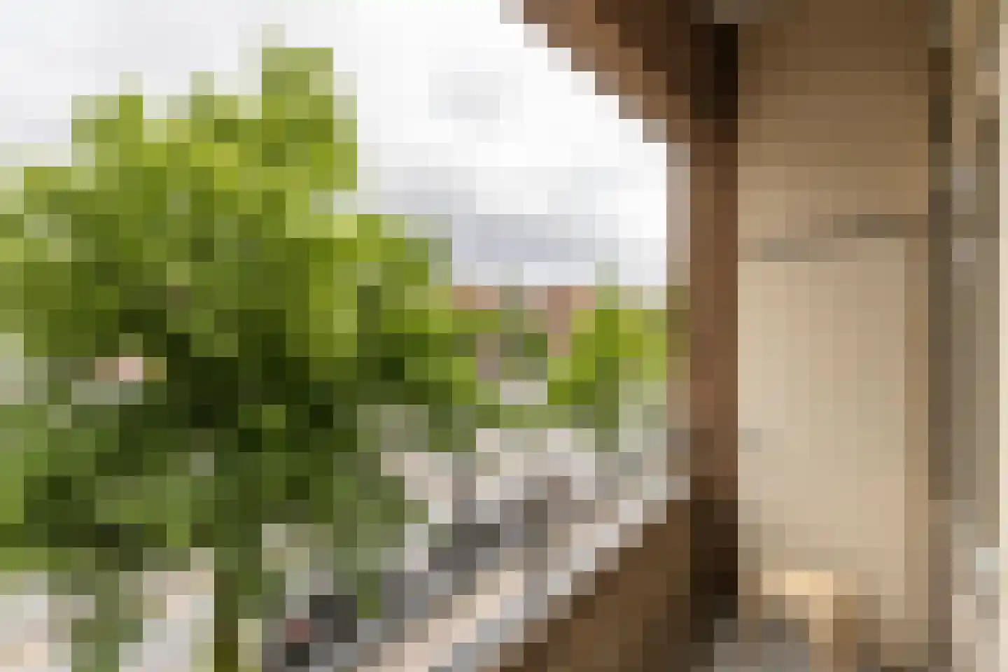 Bos en Lommerweg 343 2 Amsterdam thumbnail 18