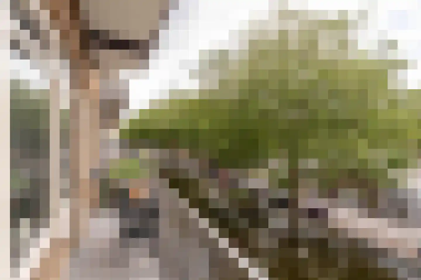 Bos en Lommerweg 343 2 Amsterdam thumbnail 4