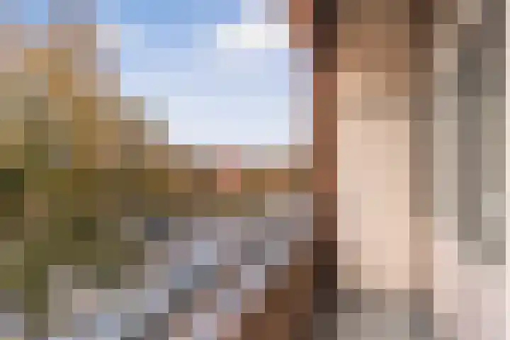 Bos en Lommerweg 343 3 Amsterdam thumbnail 10