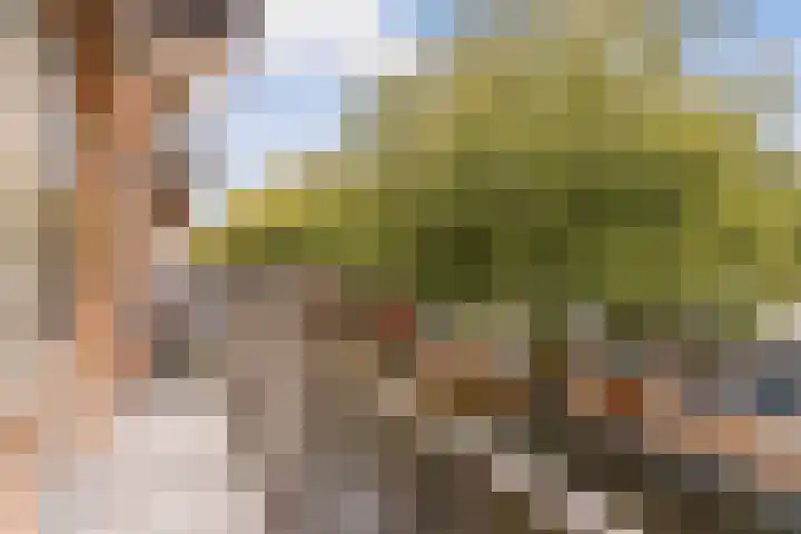 Bos en Lommerweg 343 3 Amsterdam thumbnail 18