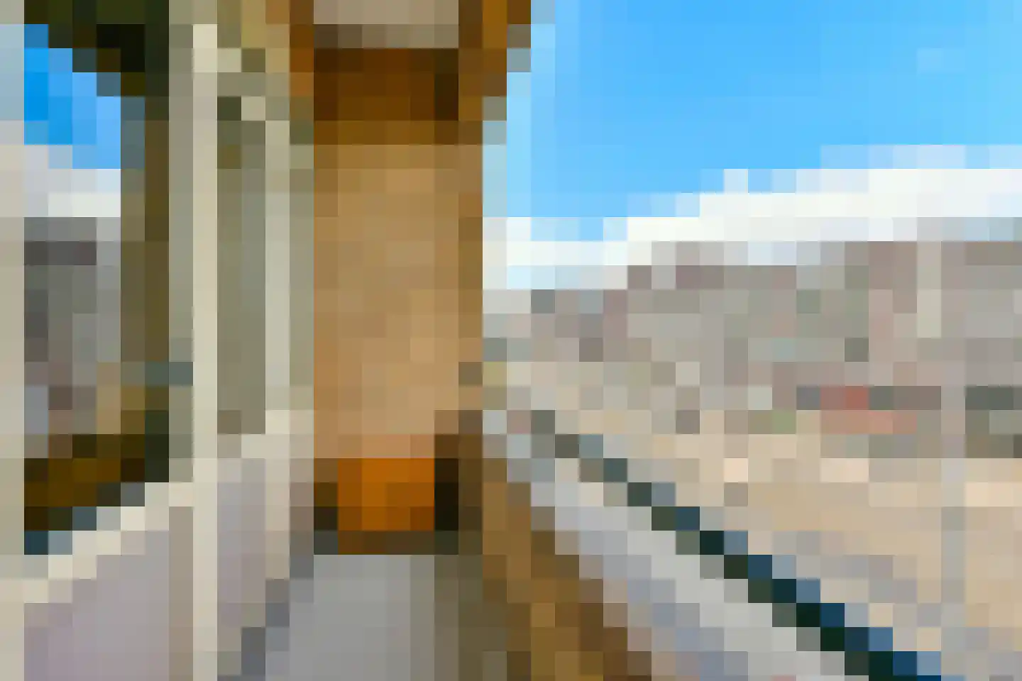 Bos en Lommerweg 345 1 Amsterdam thumbnail 11