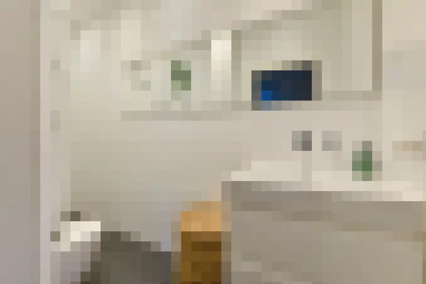 Bos en Lommerweg 345 1 Amsterdam thumbnail 16