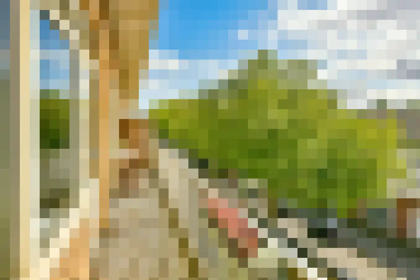 Bos en Lommerweg 345 1 Amsterdam thumbnail 6