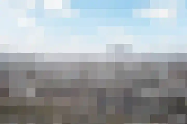 Bos en Lommerweg 368 Amsterdam thumbnail 5