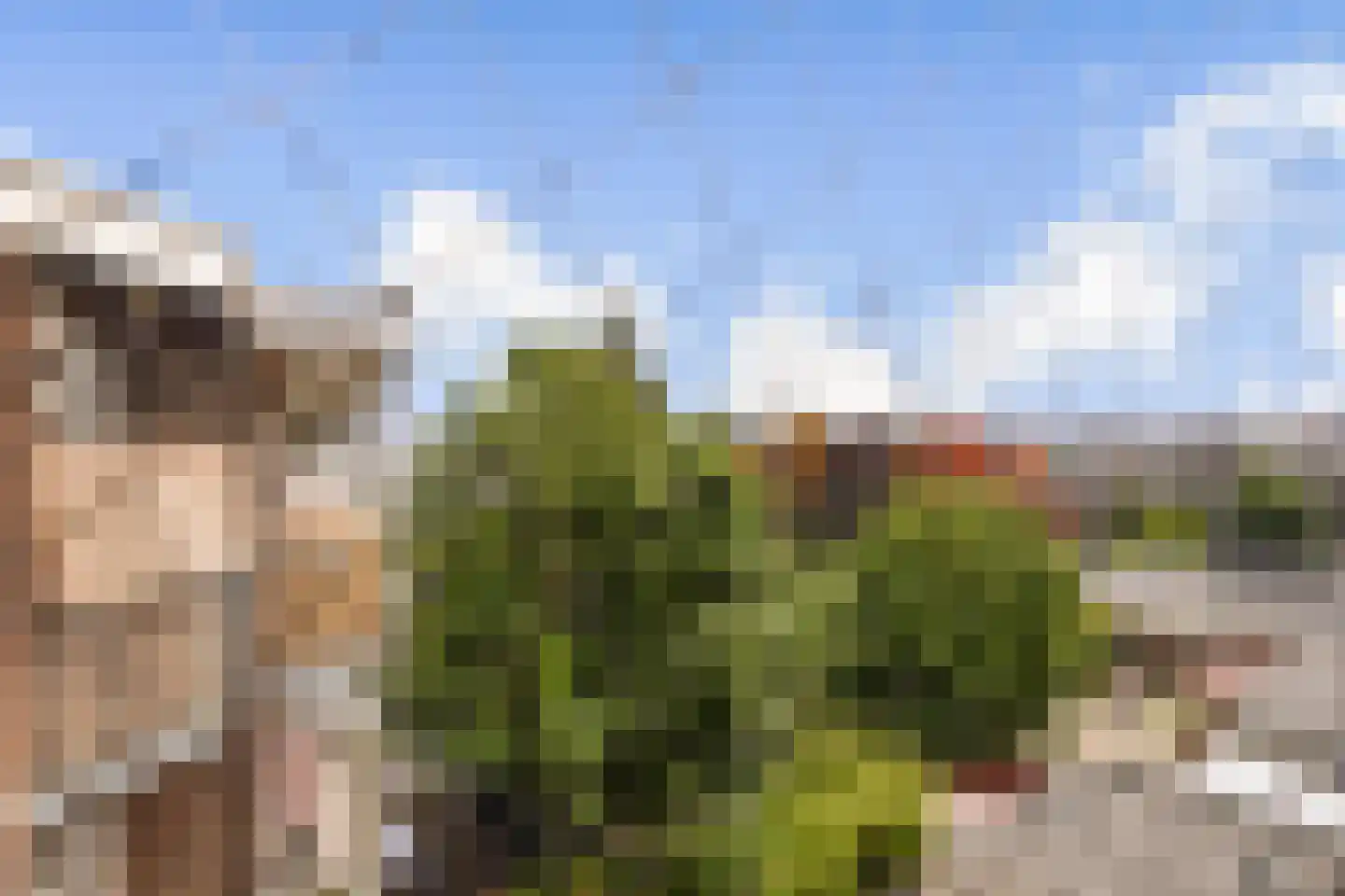 Bos en Lommerweg 81 3 Amsterdam thumbnail 11