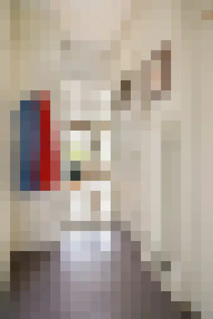 Bos en Lommerweg 9 2 Amsterdam thumbnail 7