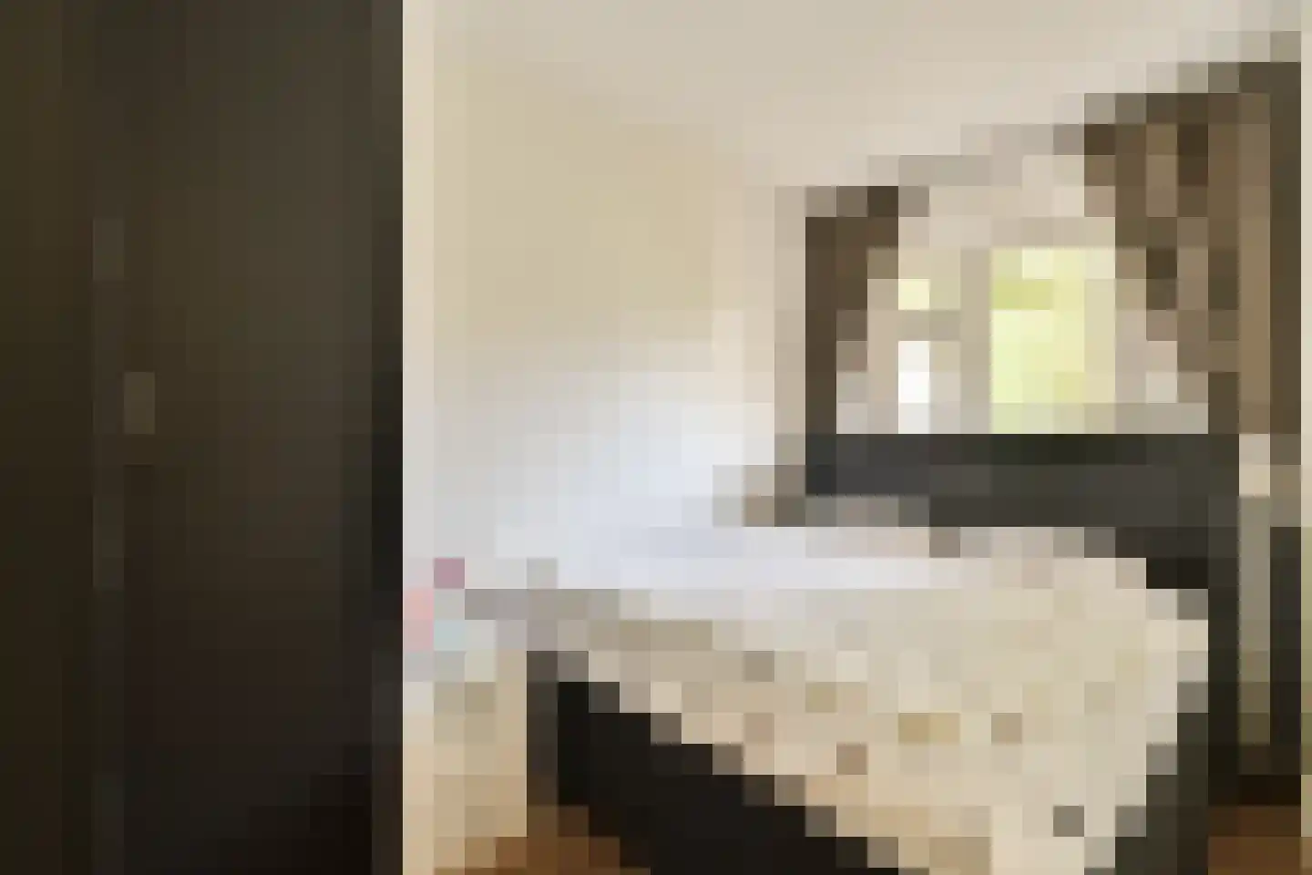 Bos en Lommerweg 9 H Amsterdam thumbnail 13