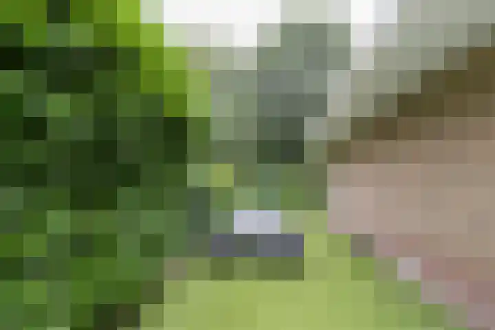 Bos en Vaartlaan 10 Amstelveen thumbnail 10