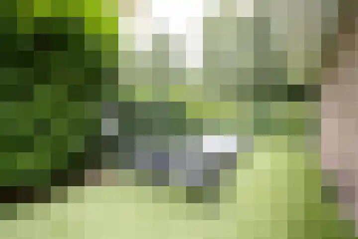 Bos en Vaartlaan 10 Amstelveen thumbnail 12
