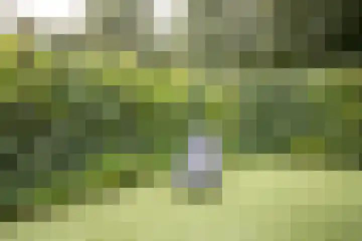 Bos en Vaartlaan 10 Amstelveen thumbnail 13