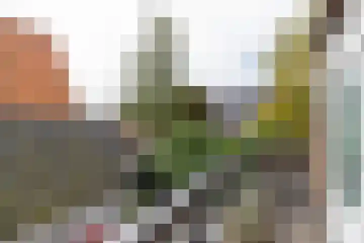 Bos en Vaartlaan 10 Amstelveen thumbnail 29