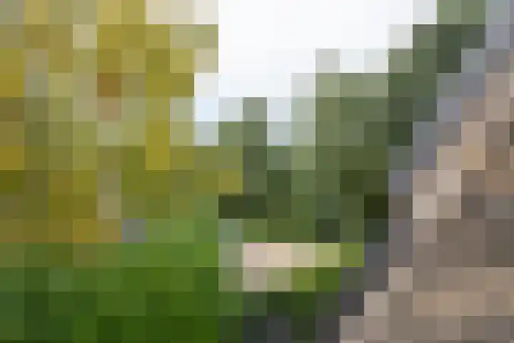 Bos en Vaartlaan 10 Amstelveen thumbnail 31